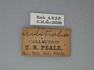 CMNH NONE label