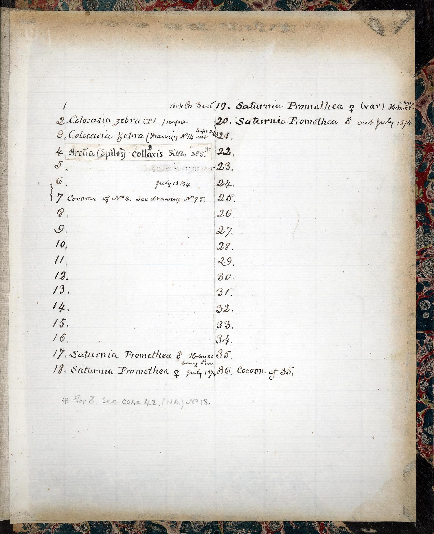 Index of Peale Box 8 Contents:  Specimens pinned to corks; Caution: Back glass broken at top fore edge corner