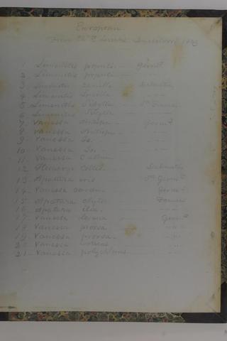Index of Peale Box 41 Contents:  Specimens pinned to corks