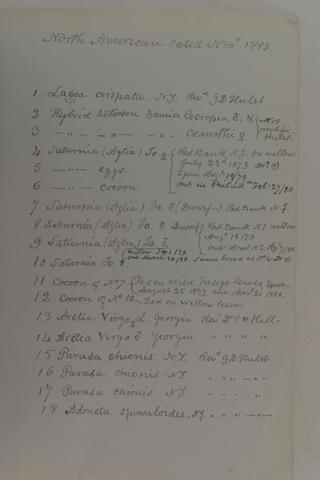 Index of Peale Box 75 Contents:  Specimens (including eggs on paper point) pinned to corks