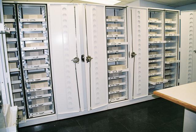 New cabinets housing the Peale Butterfly and Moth Collection