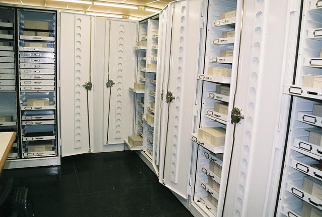 New cabinets housing the Peale Butterfly and Moth Collection