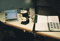 New workspace for the Peale Collection