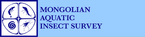 Mongolian Aquatic Survey